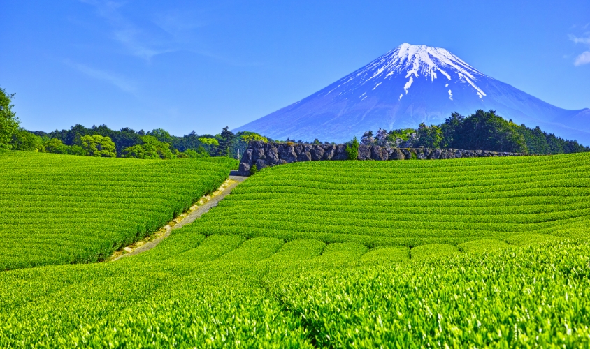 mountain fuji photo