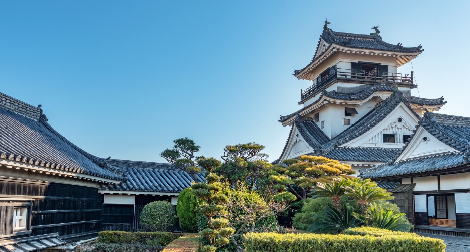 Kochi Castle photo